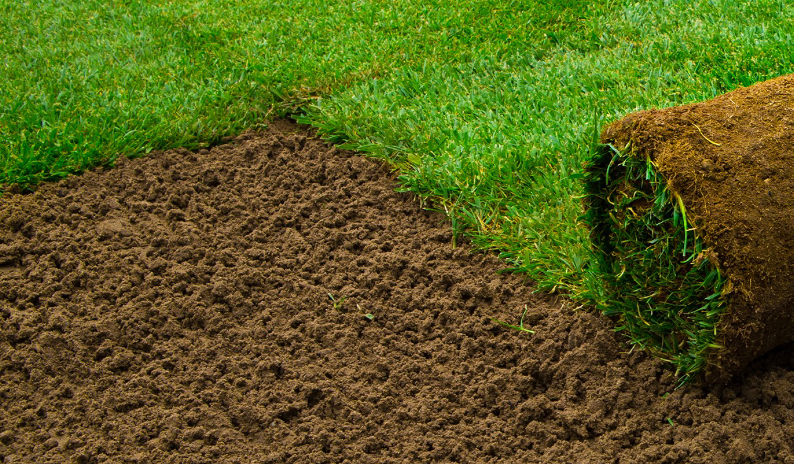 INSTANT LAWN FOR YOUR DREAM HOME